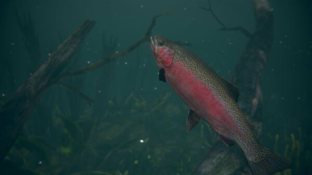 Hình ảnh gameplay Ultimate Fishing Simulator 2-RUNE