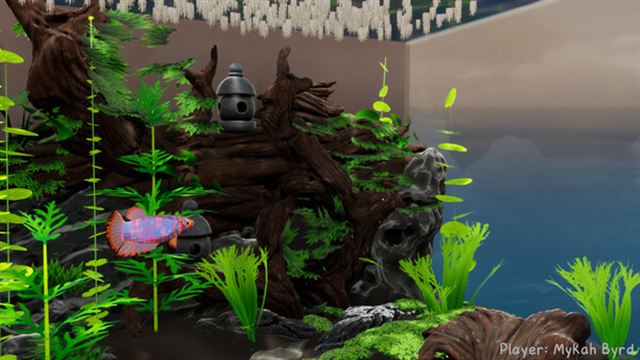 Hình ảnh gameplay Fish Game v00.02.62-P2P