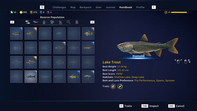 Hình ảnh gameplay Call of the Wild The Angler v1.7.5-RUNE