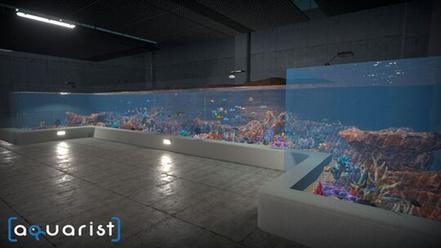 Hình ảnh gameplay Aquarist v20241213-P2P