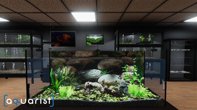 Hình ảnh gameplay Aquarist v20241213-P2P