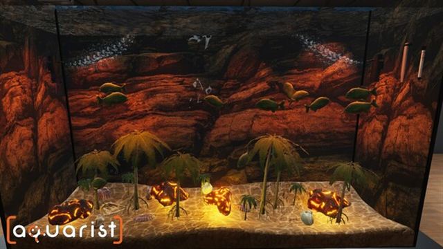 Hình ảnh gameplay Aquarist v20240916-P2P