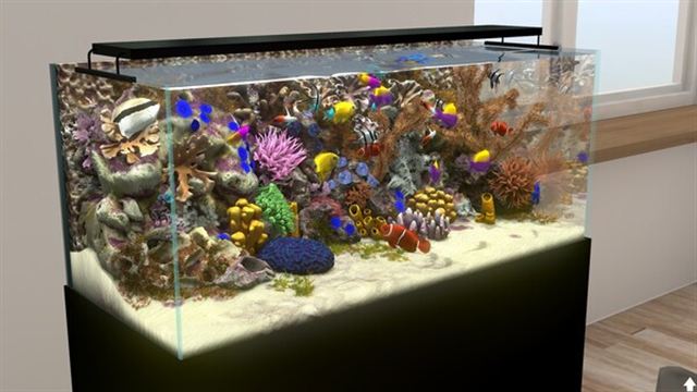Hình ảnh gameplay Behind Glass Aquarium Simulator v1.1-P2P