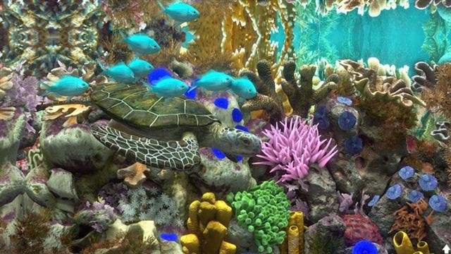 Hình ảnh gameplay Behind Glass Aquarium Simulator v1.1-P2P