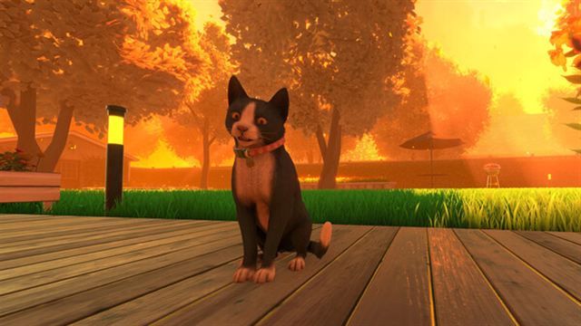 Hình ảnh gameplay Copycat v20241001-P2P