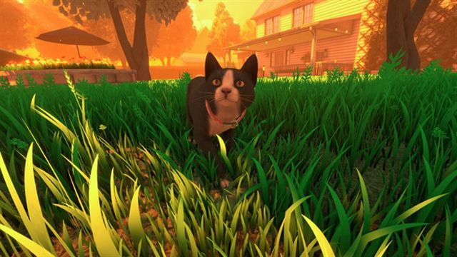 Hình ảnh gameplay Copycat v1.0.6-P2P