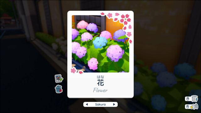 Hình ảnh gameplay Shashingo Learn Japanese with Photography v20240804-P2P
