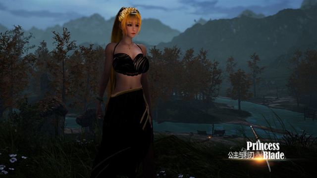 Hình ảnh gameplay Princess And Blade-TENOKE
