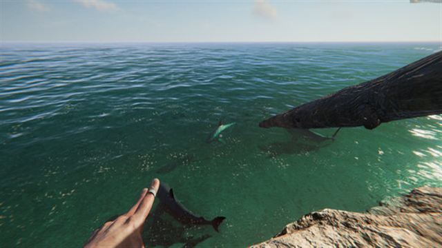 Hình ảnh gameplay Project Castaway Early Access