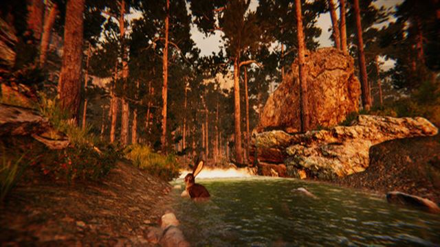 Hình ảnh gameplay Animal Simulator-TENOKE