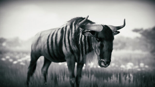 Hình ảnh gameplay Seclusa-GoldBerg