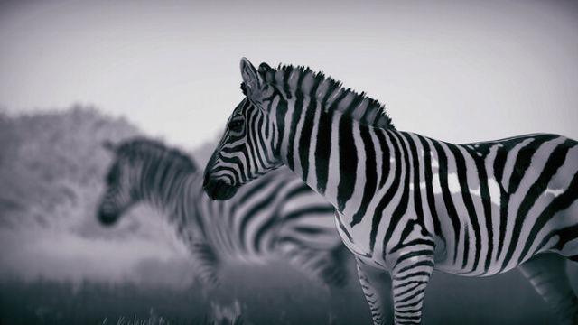 Hình ảnh gameplay Seclusa-TENOKE