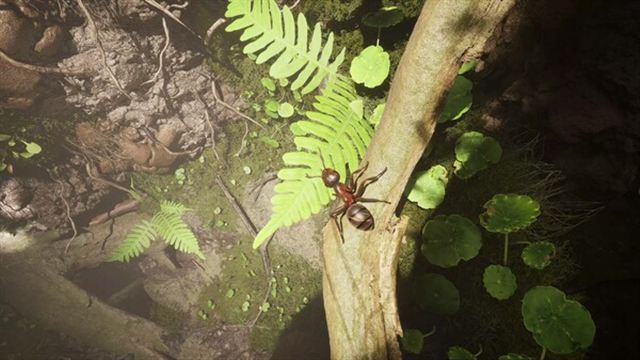 Hình ảnh gameplay Empire of the Ants v1.02.19779-P2P