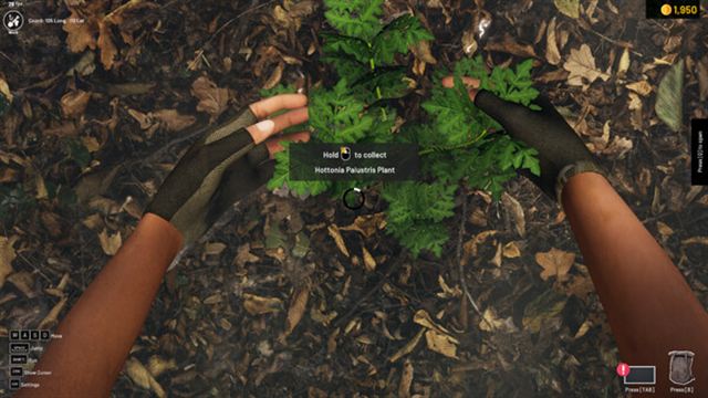 Hình ảnh gameplay Aquascapers-TENOKE