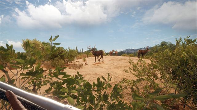 Hình ảnh gameplay TheHunter Call of the Wild v3028143-P2P