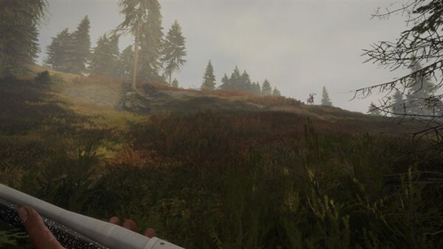 Hình ảnh gameplay TheHunter Call of the Wild v3028143-P2P