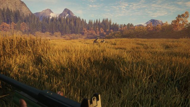 Hình ảnh gameplay TheHunter Call of the Wild v3028143-P2P
