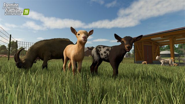 Hình ảnh gameplay Farming Simulator 25 v1.7.0.0-P2P