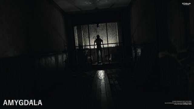 Hình ảnh gameplay Amygdala Enhanced-SKIDROW