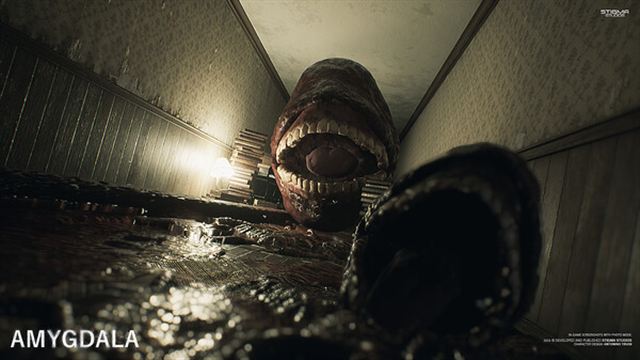 Hình ảnh gameplay Amygdala Enhanced-SKIDROW