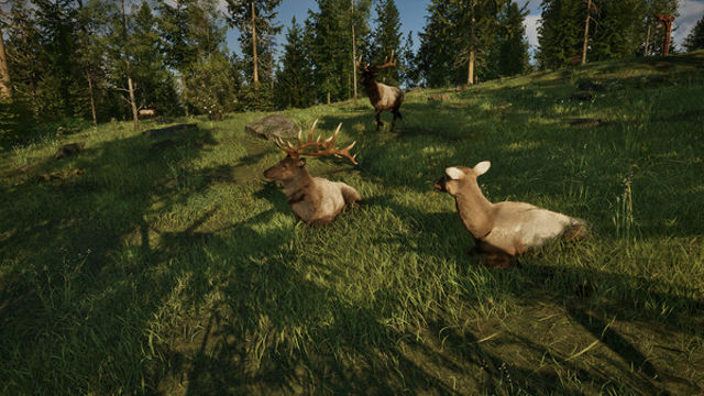 Hình ảnh gameplay Rangers Path National Park Simulator Early Access