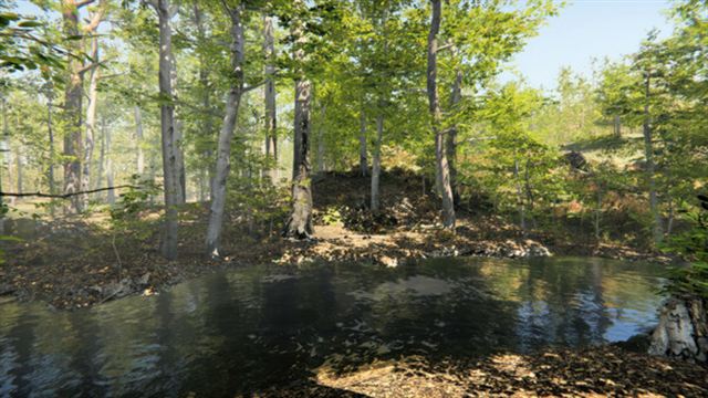 Hình ảnh gameplay Camping Vlog Simulator 2024-DRMFREE