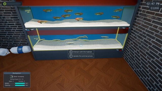 Hình ảnh gameplay Exotica 2 Pet Shop Simulator-TENOKE
