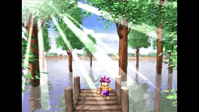 Hình ảnh gameplay Tomba Special Edition-TiNYiSO