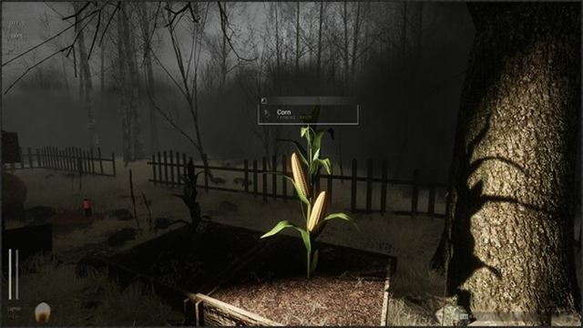 Hình ảnh gameplay Descending The Woods Early Access