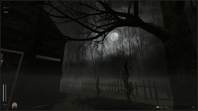 Hình ảnh gameplay Descending The Woods Early Access