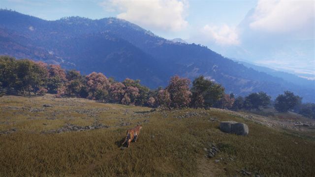 Hình ảnh gameplay theHunter CoTW Sundarpatan Hunting Reserve-TENOKE