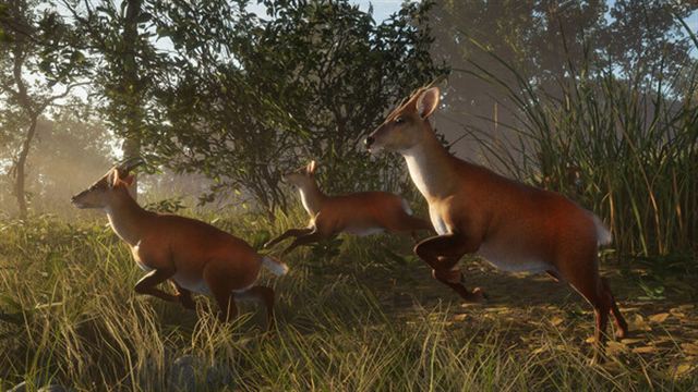 Hình ảnh gameplay theHunter CoTW Sundarpatan Hunting Reserve-TENOKE