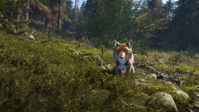 Hình ảnh gameplay theHunter CoTW Sundarpatan Hunting Reserve-TENOKE