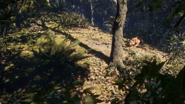 Hình ảnh gameplay theHunter CoTW Sundarpatan Hunting Reserve-TENOKE