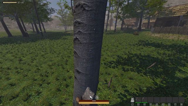 Hình ảnh gameplay QUESTSCAPE Survival-TENOKE