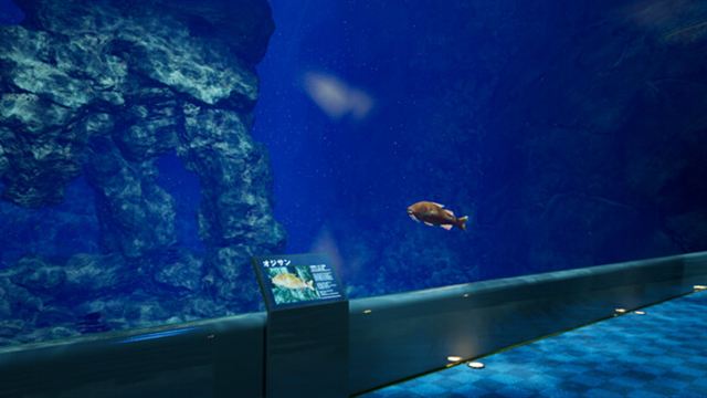 Hình ảnh gameplay Aquarium at August 32nd-TENOKE