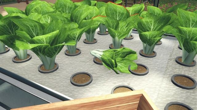 Hình ảnh gameplay Hydroponics Farm and Store Simulator Early Access