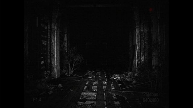 Hình ảnh gameplay REC Desolation-TENOKE