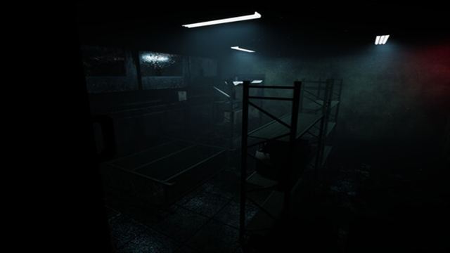 Hình ảnh gameplay Forest Asylum-DRMFREE