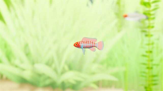 Hình ảnh gameplay Fish Game Indian Subcontinent Fish Pack 1-TENOKE