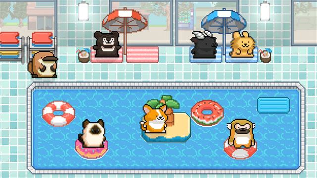 Hình ảnh gameplay Malteses Fluffy Onsen Summer-TENOKE