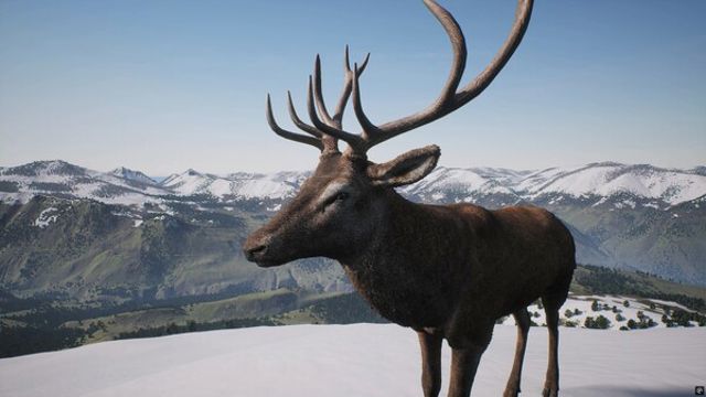 Hình ảnh gameplay PROJECT HUNT Trophy Sanctuary-TENOKE