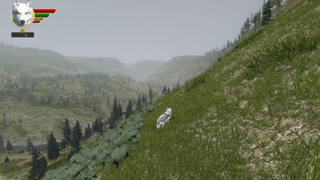 Hình ảnh gameplay WolfQuest Anniversary Edition Tower Fall-RUNE