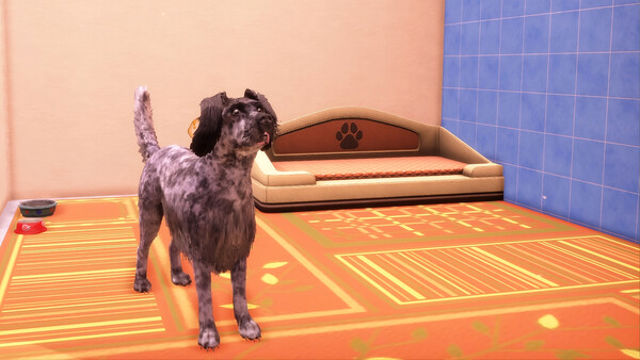 Hình ảnh gameplay Animal Shelter 2 Hunting Dogs Pack-RUNE