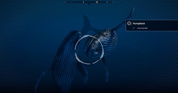 Hình ảnh gameplay Beyond Blue The Tropical Reef-RUNE