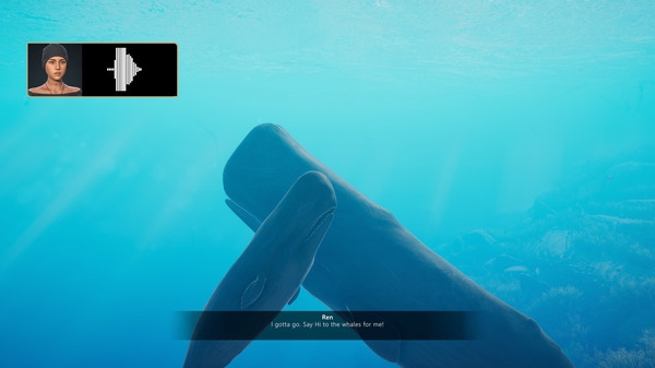 Hình ảnh gameplay Beyond Blue The Tropical Reef-RUNE