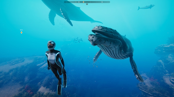 Hình ảnh gameplay Beyond Blue v1.7.17798-P2P
