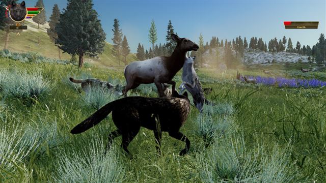 Hình ảnh gameplay WolfQuest Anniversary Edition v2.0.3d-P2P