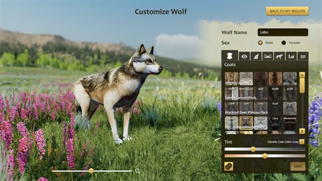 Hình ảnh gameplay WolfQuest Anniversary Edition v2.0.3d-P2P