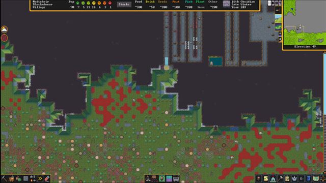 Hình ảnh gameplay Dwarf Fortress v50.13-P2P
